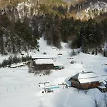 Forrest With A Pool *