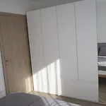 Forrest With A Pool Polhov Gradec