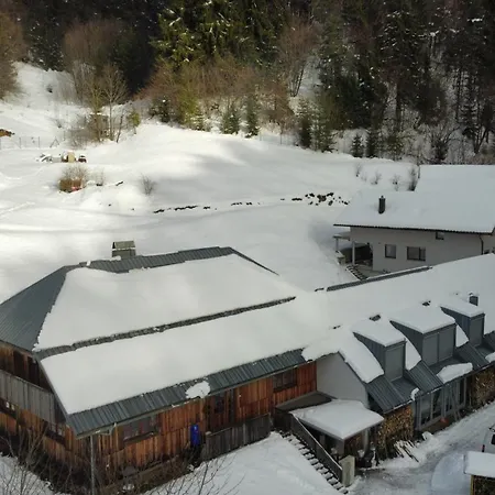 Forrest With A Pool Polhov Gradec