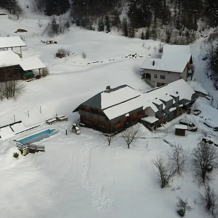Forrest With A Pool * Polhov Gradec