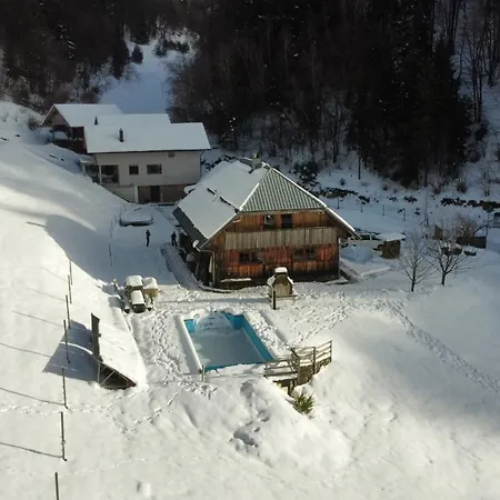 Forrest With A Pool Polhov Gradec