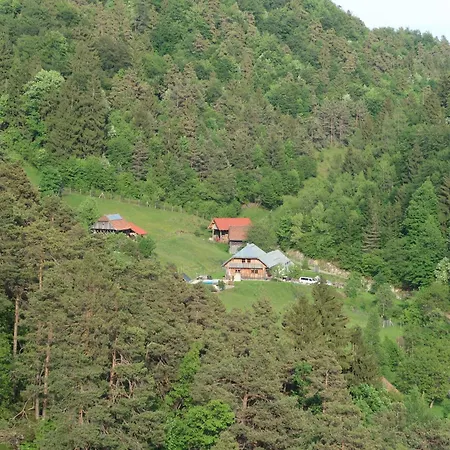 Forrest With A Pool Polhov Gradec