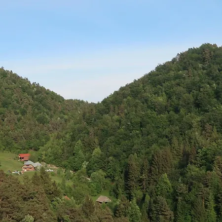 Forrest With A Pool Polhov Gradec