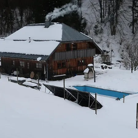 Forrest With A Pool Apartment *